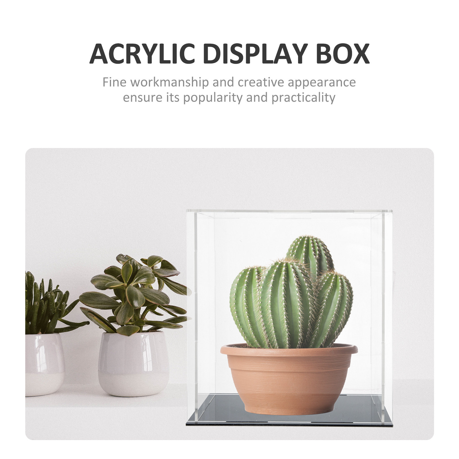 Boîte de présentation en acryl - Display Case Acrylic avis et prix