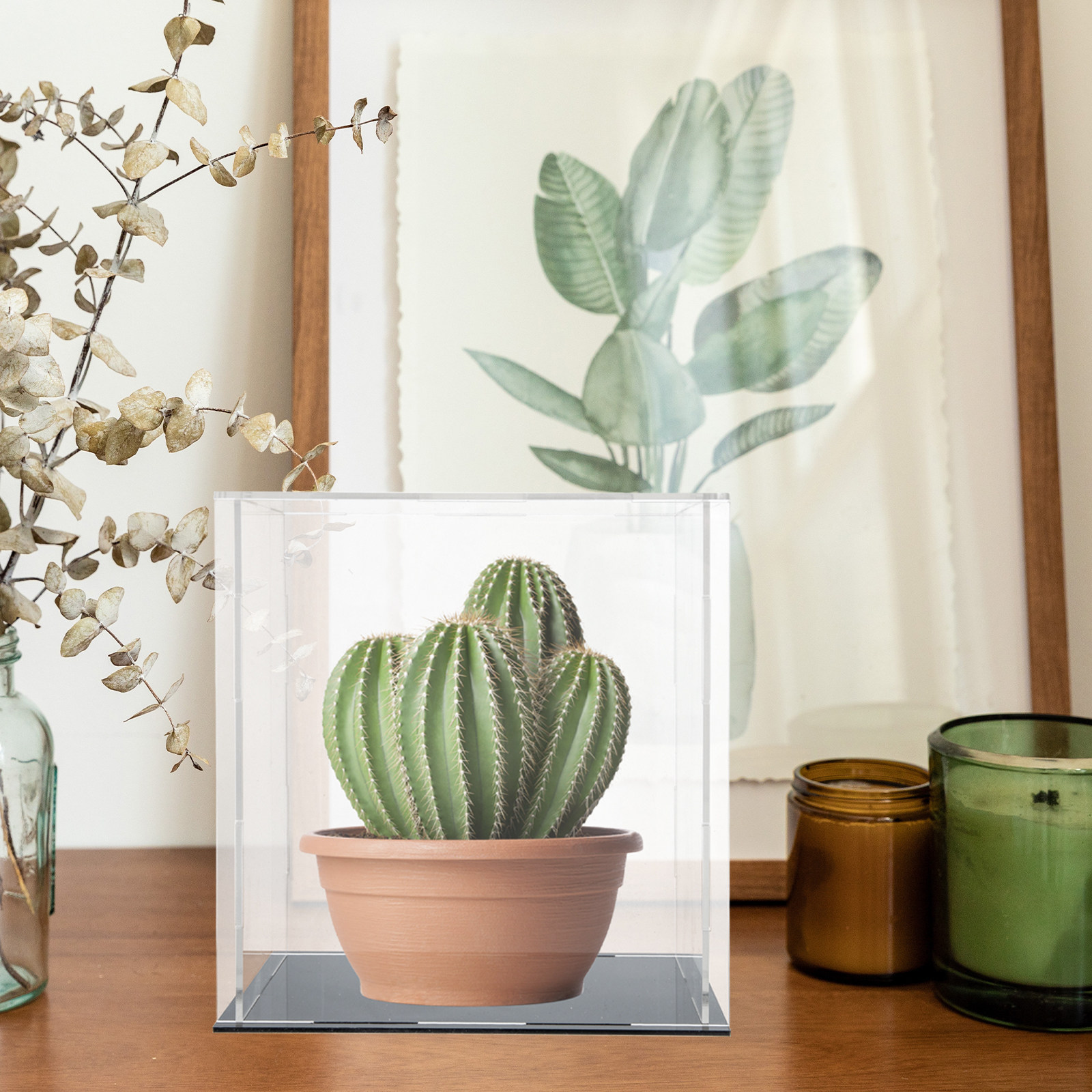 Boîte de présentation en acryl - Display Case Acrylic avis et prix