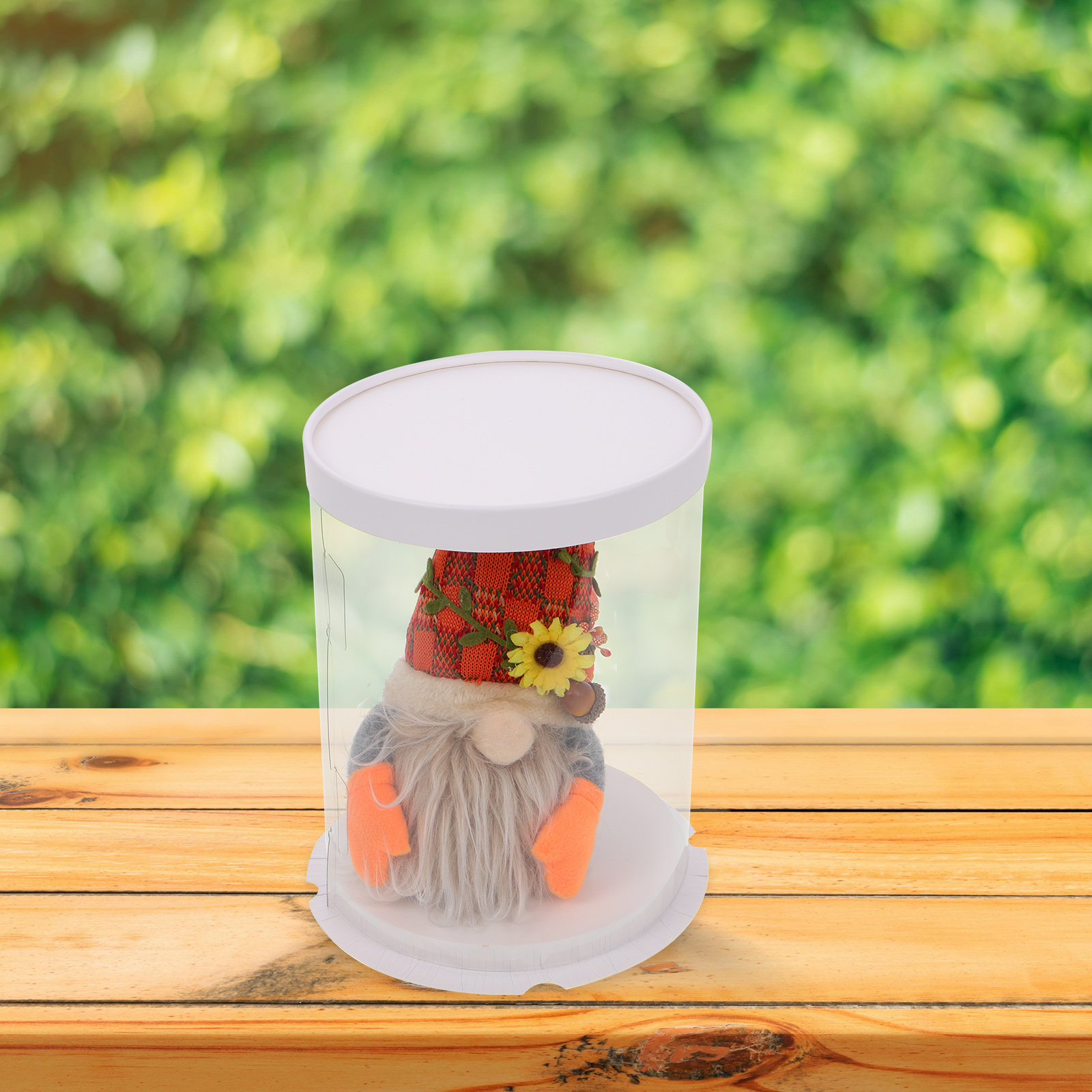 Boîte de présentation transpar - Display Case Acrylic avis et prix